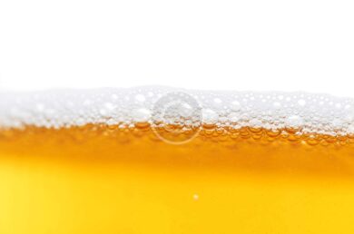 How Wild Is Your Beer?